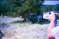 (2003 Rocky Mountain 3Gun Match) Team Shoot