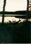 (summer 1995) Zak in Hammock II