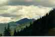 (Vail, Summer '94) 